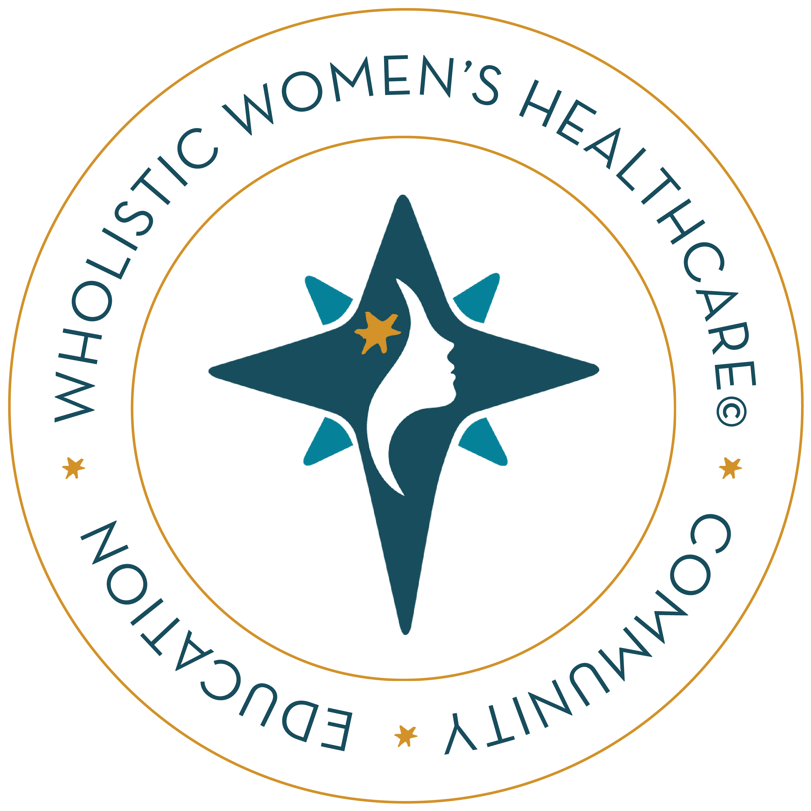 Guiding Star Project logo