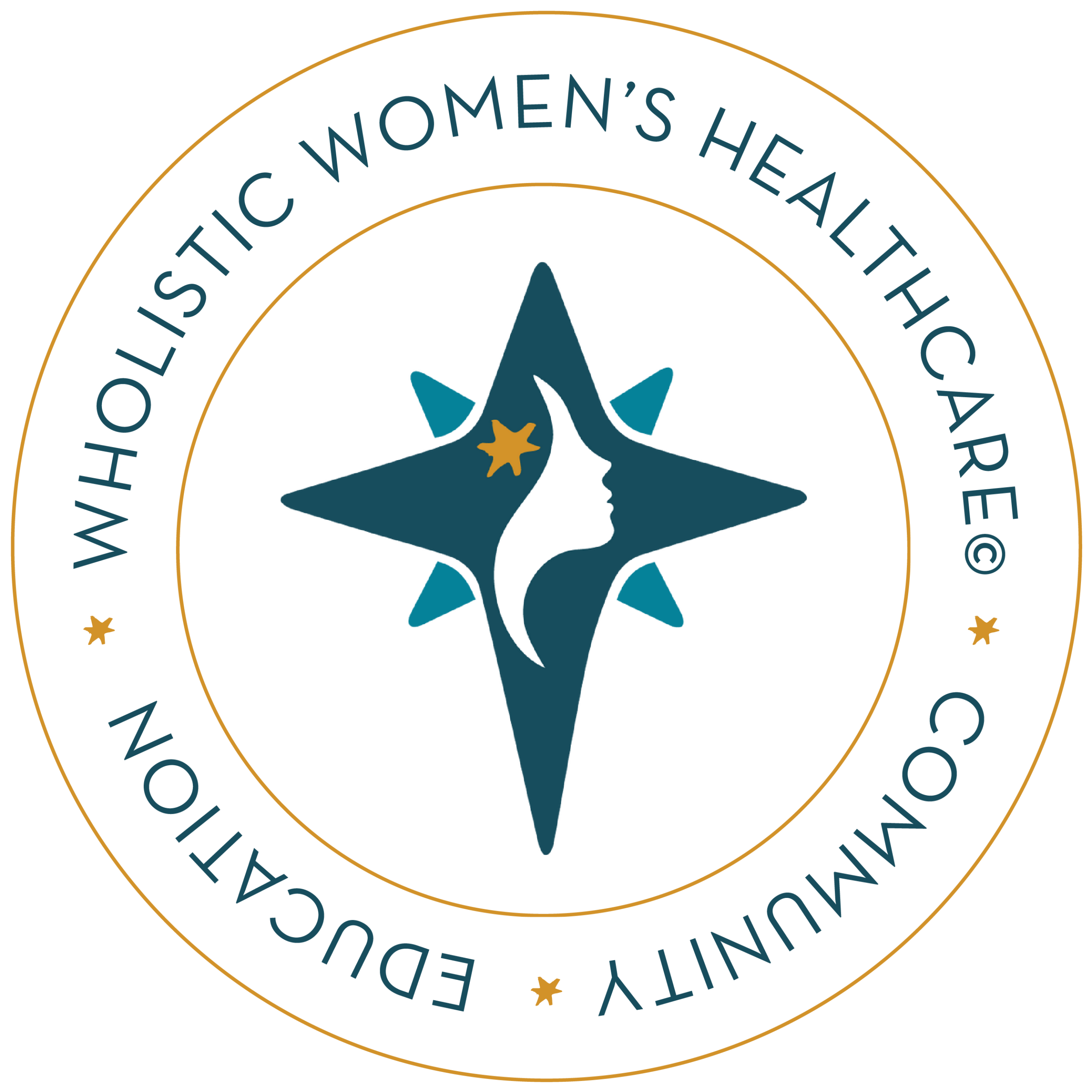 GuidingStar_Circle_Logo_PressKit